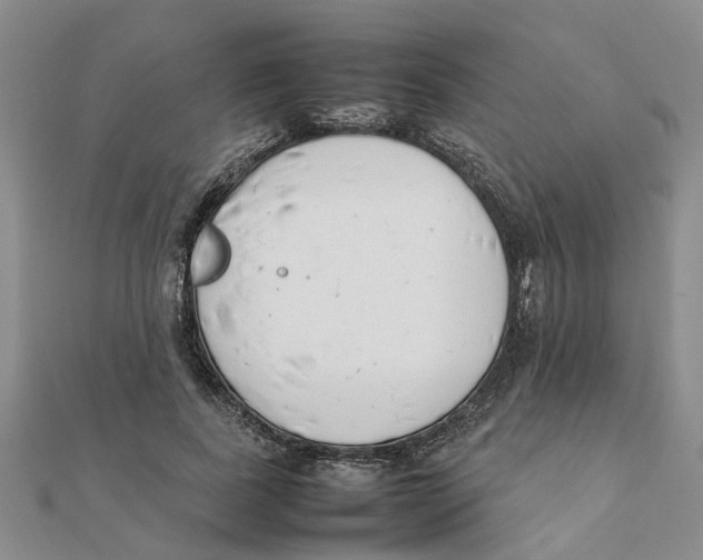 X0000111500739200908111246