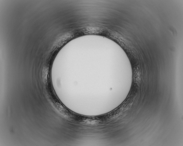 X0000111500742200908111246