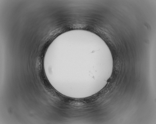 X0000111500743200908111246