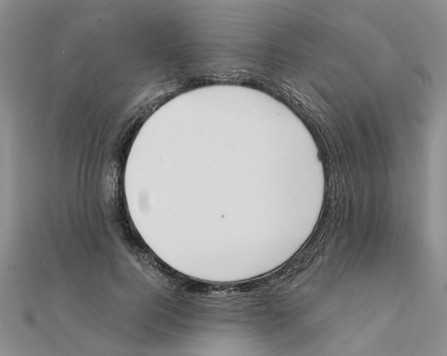 X0000111500744200908111246