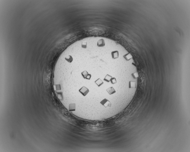 X0000111500745200908111246