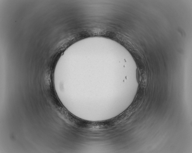 X0000111500746200908111246