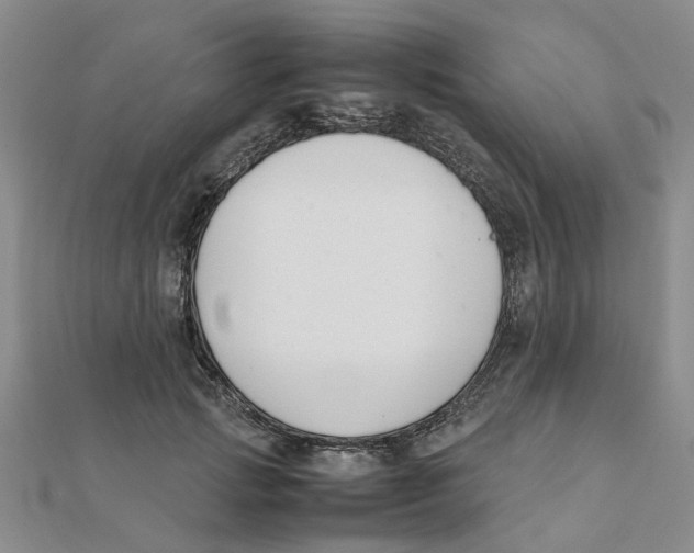 X0000111500749200908111246