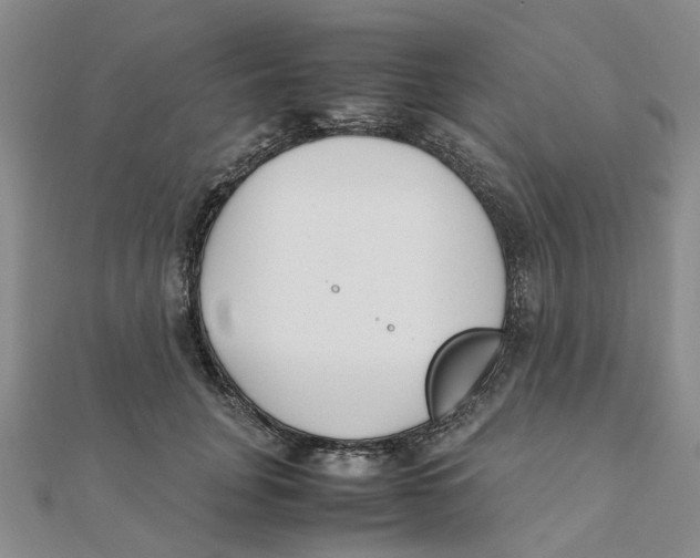 X0000111500751200908111246