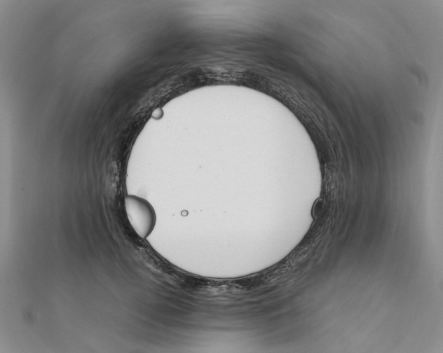 X0000111500752200908111246