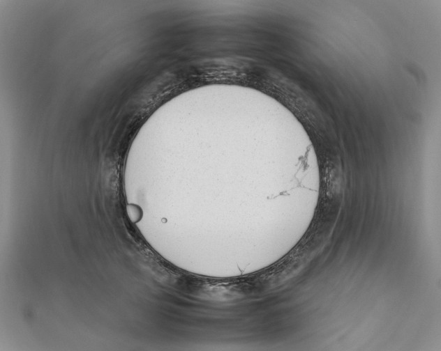 X0000111500753200908111246