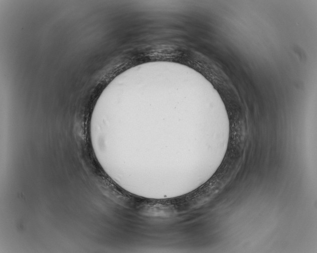 X0000111500755200908111246