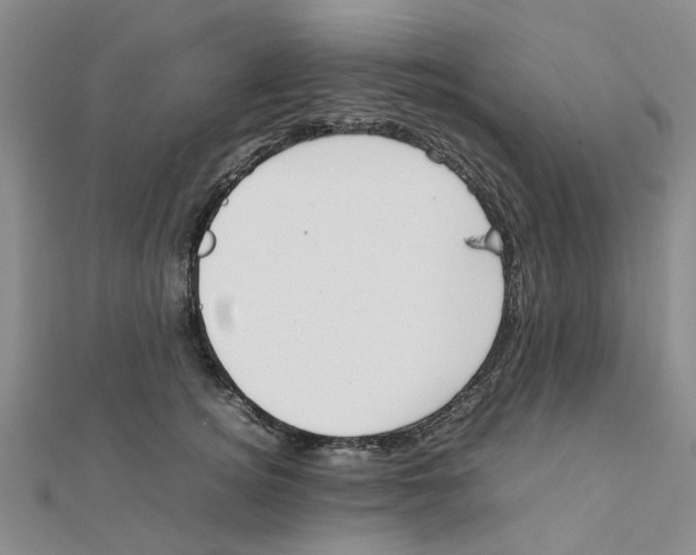 X0000111500756200908111246