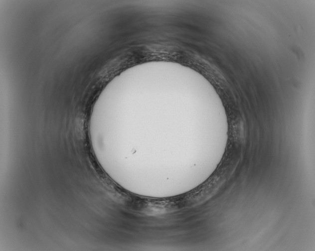 X0000111500757200908111246