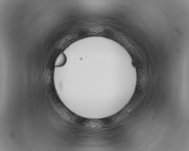 X0000111500758200908111246