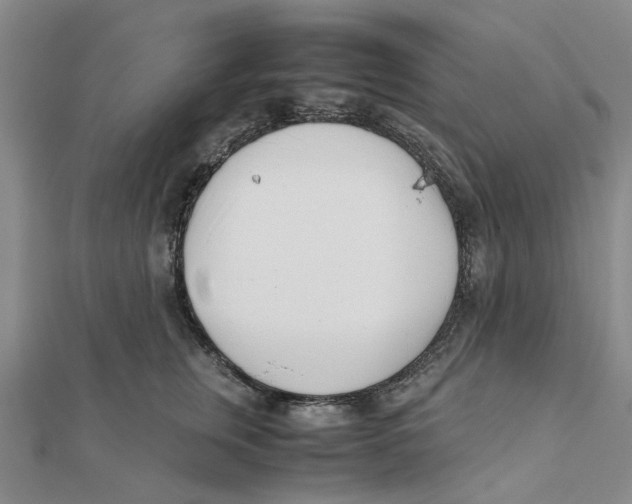 X0000111500759200908111246