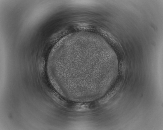 X0000111500760200908111246