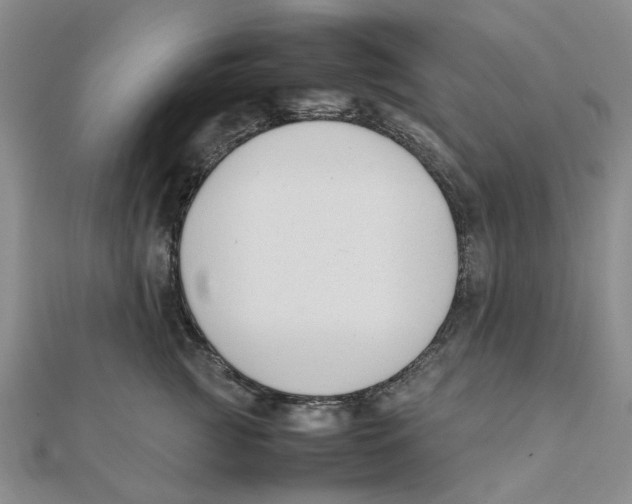 X0000111500761200908111246