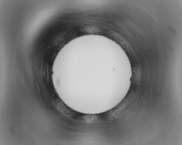 X0000111500762200908111246