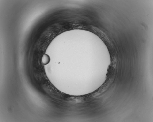 X0000111500763200908111246