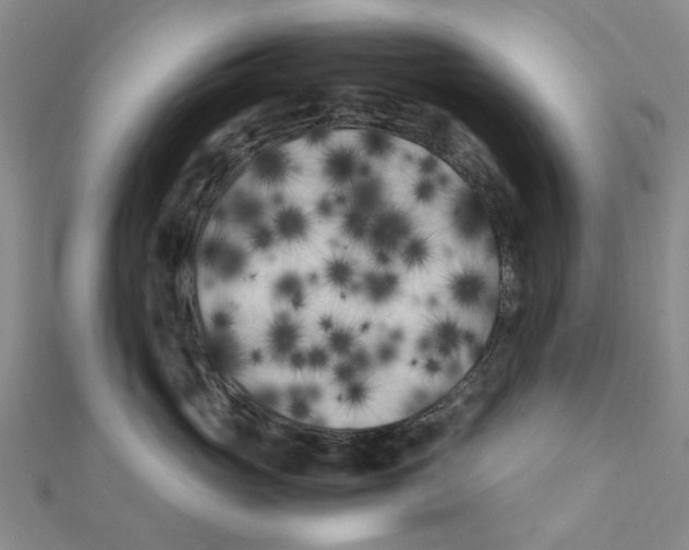 X0000111500765200908111246