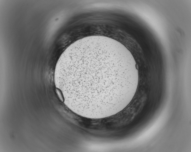 X0000111500766200908111246