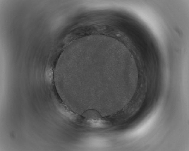 X0000111500767200908111246