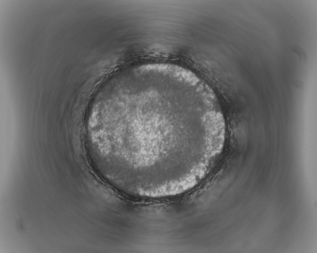 X0000111500769200908111245