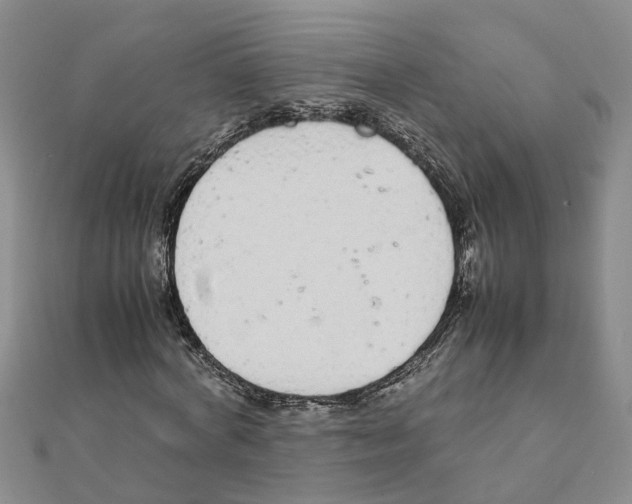 X0000111500772200908111245