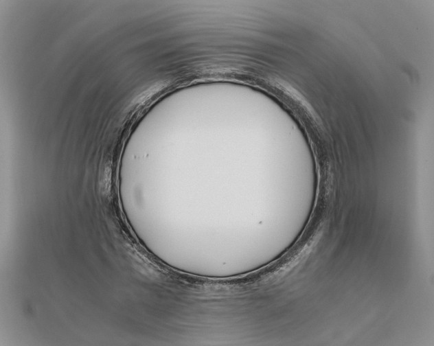 X0000111500777200908111245