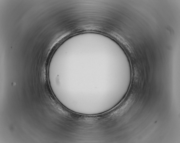 X0000111500782200908111245