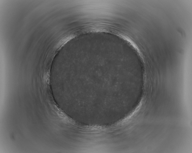 X0000111500785200908111245