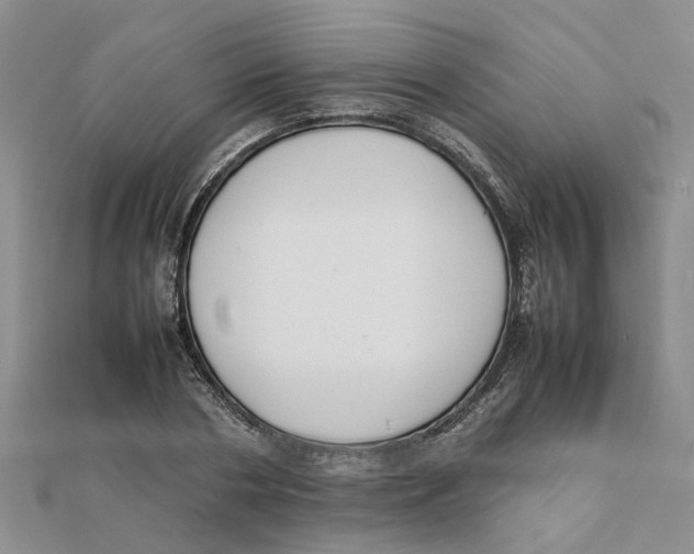 X0000111500786200908111245