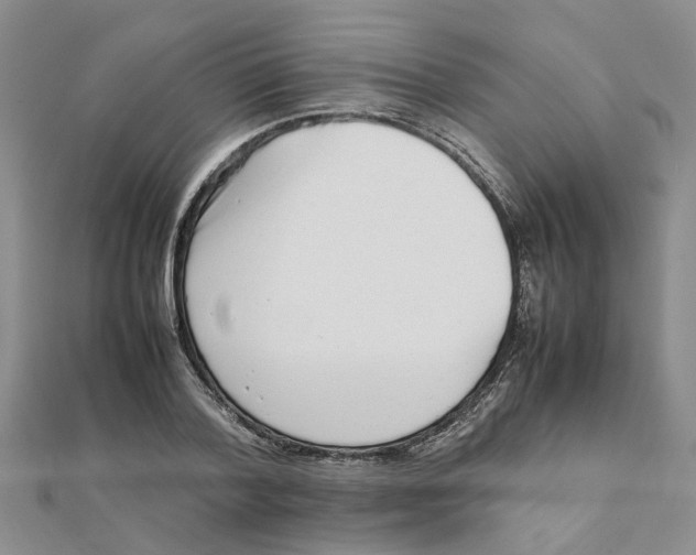 X0000111500788200908111245