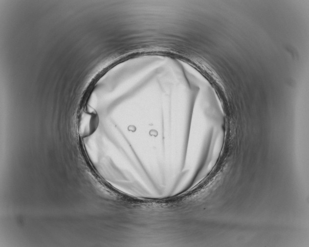 X0000111500789200908111245