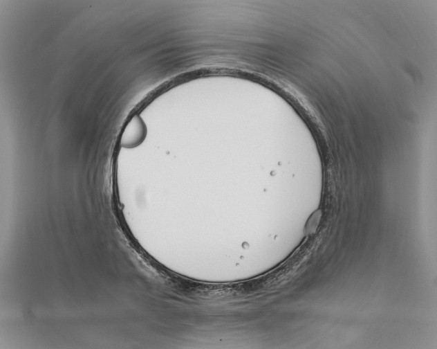 X0000111500791200908111245