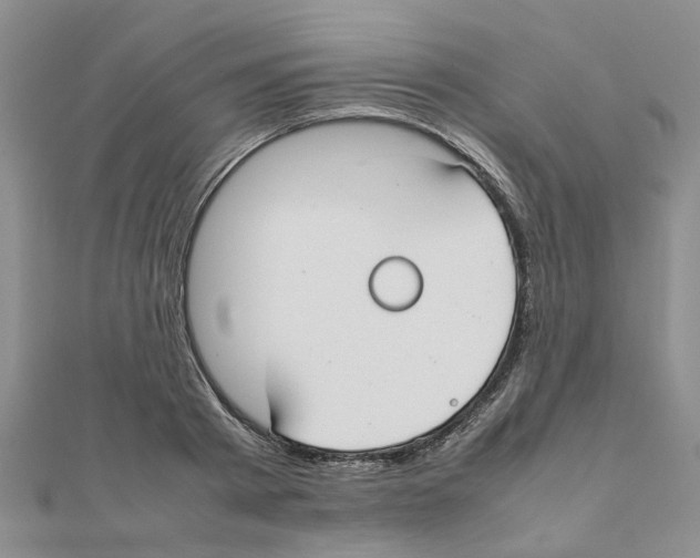 X0000111500793200908111245