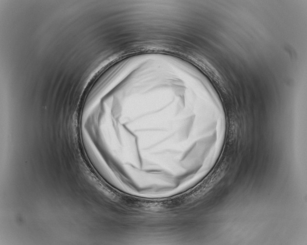 X0000111500798200908111245