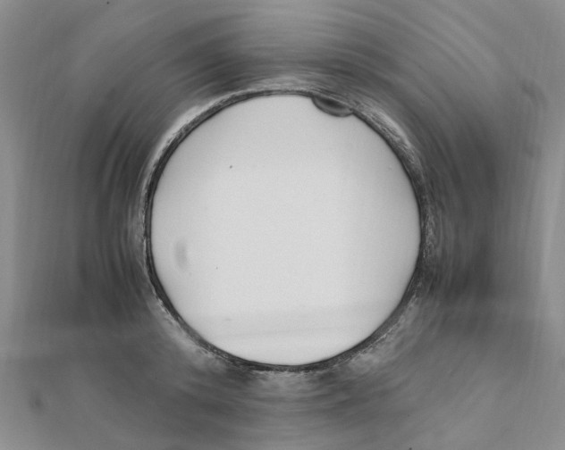 X0000111500800200908111245