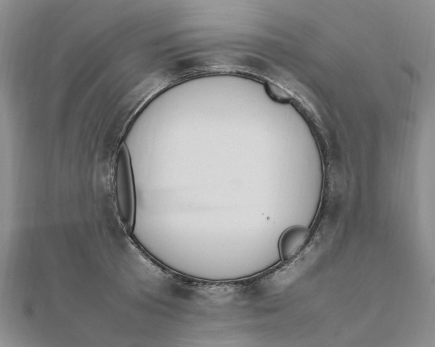 X0000111500801200908111245