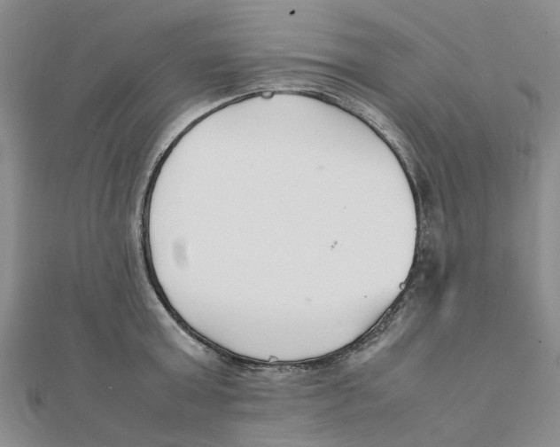 X0000111500803200908111245