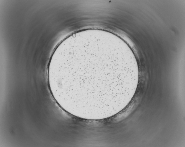 X0000111500807200908111245