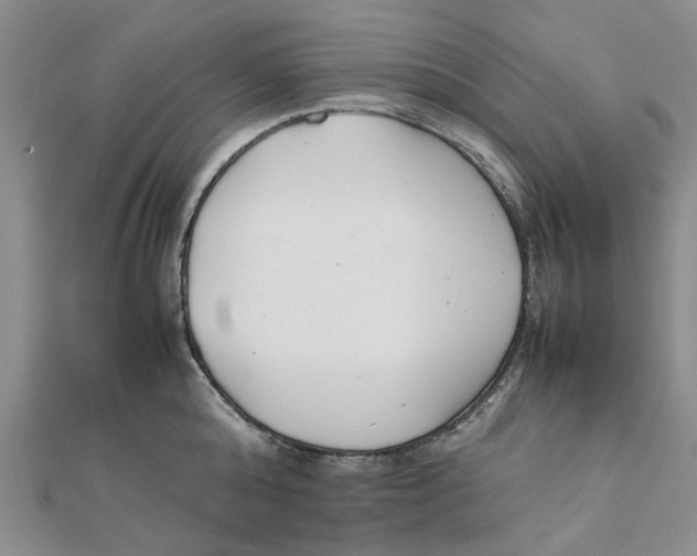 X0000111500808200908111245