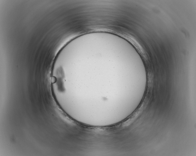 X0000111500814200908111245