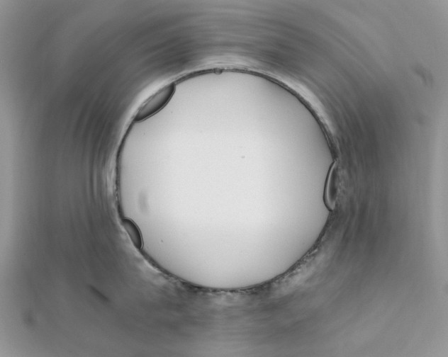 X0000111500815200908111245