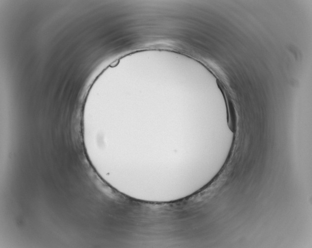 X0000111500816200908111245