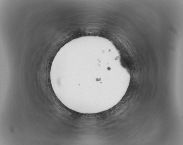 X0000111500817200908111244