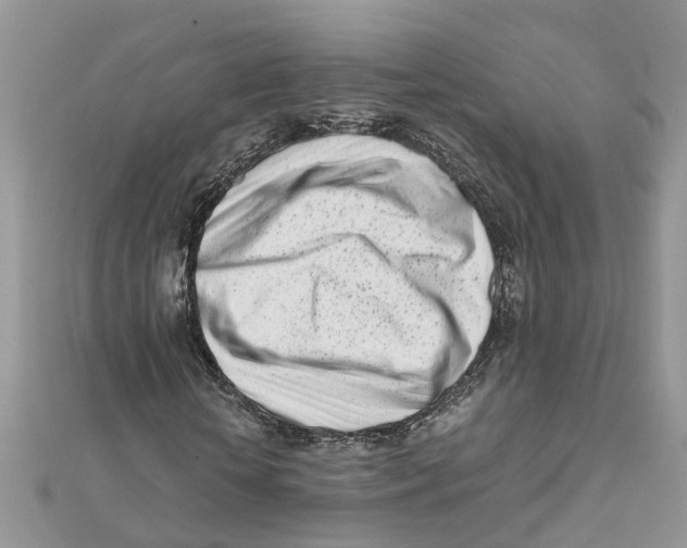 X0000111500818200908111244