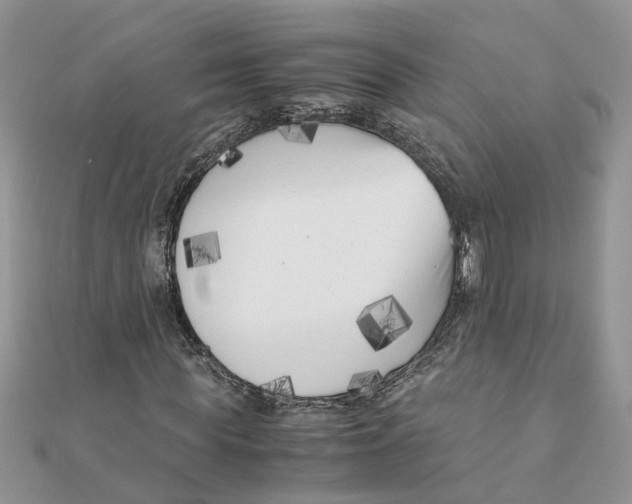 X0000111500819200908111244