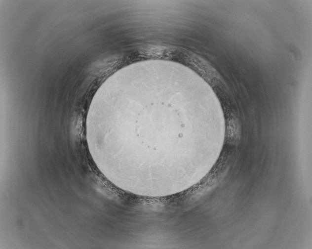 X0000111500820200908111244