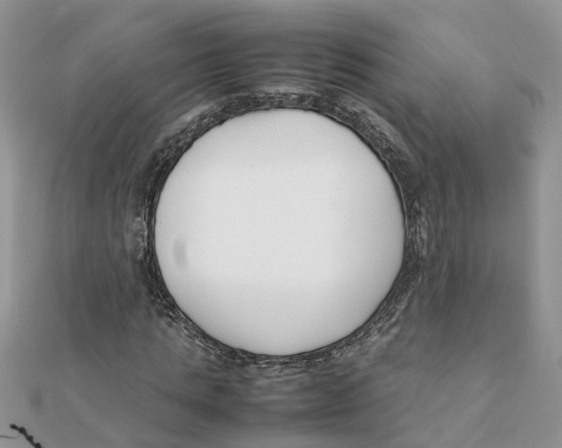 X0000111500821200908111244