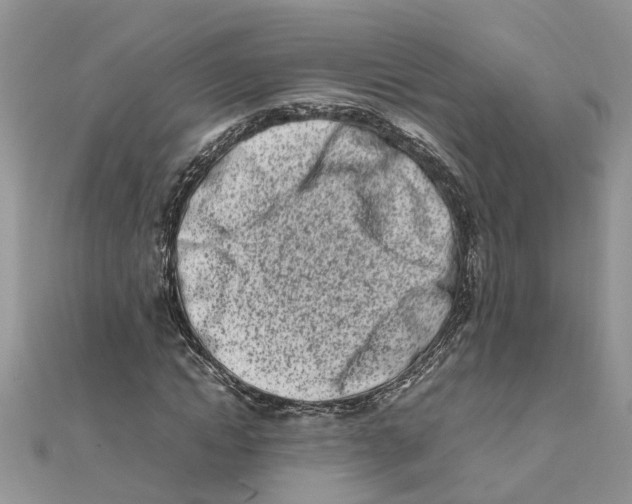 X0000111500822200908111244