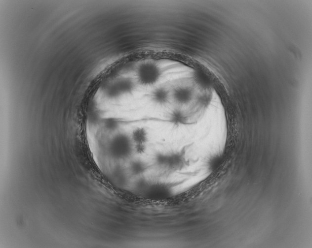 X0000111500823200908111244