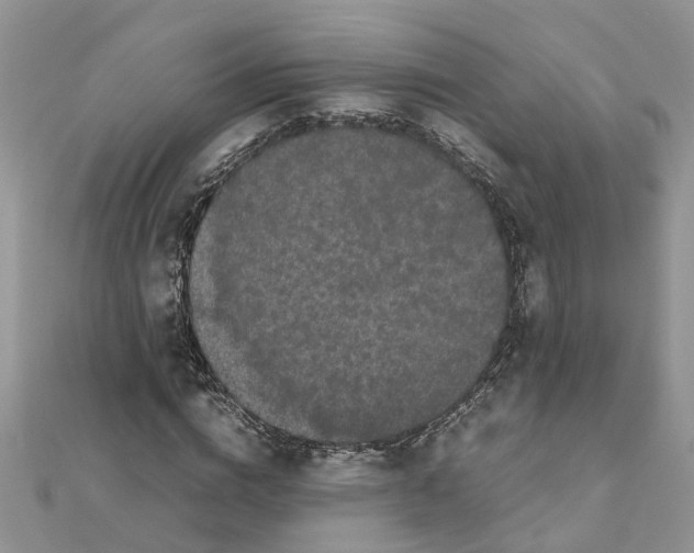 X0000111500824200908111244