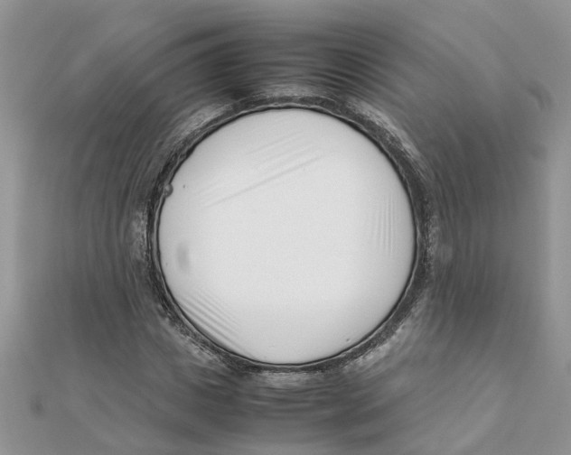 X0000111500825200908111244